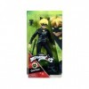 Coffret pour Miraculous Chat Noir 26 cm + 2 Accessoires - Set poupée Mannequin articulée Adrien + 1 Carte Offerte - Set Jouet