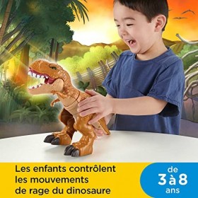 Fisher Price Imaginext Figurine T-Rex Saccageur, Bouton pour faire bouger le dinosaure et faire claquer ses mâchoires, Change