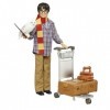 Harry Potter coffret collector Quai 9 3/4 avec poupée articulée, chouette Hedwige, bagages et accessoires inspirés du film, j