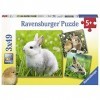 Ravensburger - Puzzle Enfant - Puzzles 3x49 p - Mignons petits lapins - Dès 5 ans - 08041