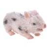Rosixehird Cochon | Porcelet en Silicone Haute Simulation | bébé en Silicone à la Main Corps Complet Faux Animaux Extensibles