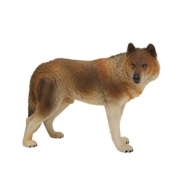 Jouets de loup danimaux sauvages, jouet réaliste de figures de loup danimal de forêt, jouets éducatifs préscolaires de loup