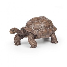 Papo - Figurines A Collectionner - Tortue Des Galapagos - Animaux Sauvages - Convient Aux Enfants - Filles Et Garçons - A Par