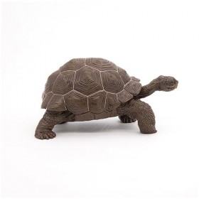 Papo - Figurines A Collectionner - Tortue Des Galapagos - Animaux Sauvages - Convient Aux Enfants - Filles Et Garçons - A Par