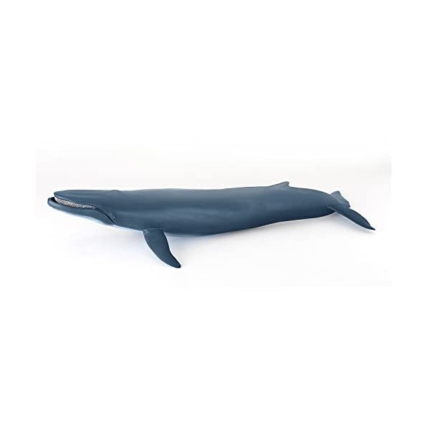 Papo- Jeune Requin Baleine LA Vie Sauvage Figurine, 56046, Multicolore