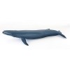 Papo- Jeune Requin Baleine LA Vie Sauvage Figurine, 56046, Multicolore
