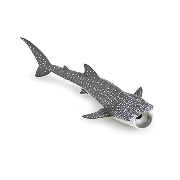 Papo- Jeune Requin Baleine LA Vie Sauvage Figurine, 56046, Multicolore