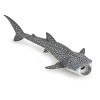 Papo- Jeune Requin Baleine LA Vie Sauvage Figurine, 56046, Multicolore