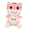 PRETYZOOM 2 Pcs Rose Souriant Tigre Tigres Figurine Nouvel an Chinois Mascotte Poupée Figurine Décor Enfants Poupée Jouet en 