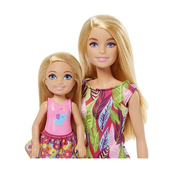 Barbie Famille lAnniversaire Perdu de Chelsea coffret avec mini-poupée, 3 Figurines animaux, Un gâteau et un cadeau, Jouet p