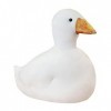 ibasenice Jouets en Peluche Canard Cole Jouet en Peluche Nouveauté Coussins DAccent Poupée Câlins pour Enfants Ensemble De J