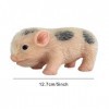 Poupée cochon en silicone souple de 12,7 cm | Porcelet réaliste en silicone doux au toucher | Mini porcelet en silicone | Viv
