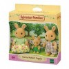 Sylvanian Families- Mini-poupées et Accessoires, 5372