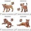 FLORMOON Lot de 6 lions réalistes en plastique - Figurines danimaux sauvages - Jouets éducatifs de la ferme et de la forêt -