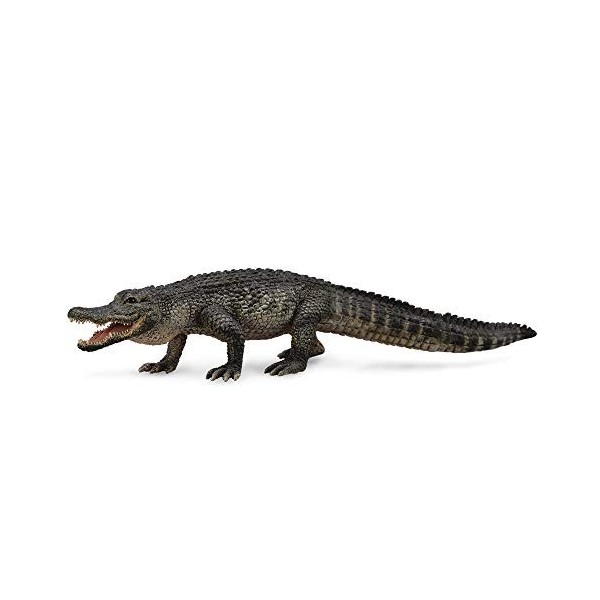 Collecta - 3388609 - Figurine - Animaux Sauvages - Alligator