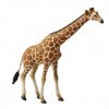 Collecta - 3388534 - Figurine - Animaux Sauvages - Girafe