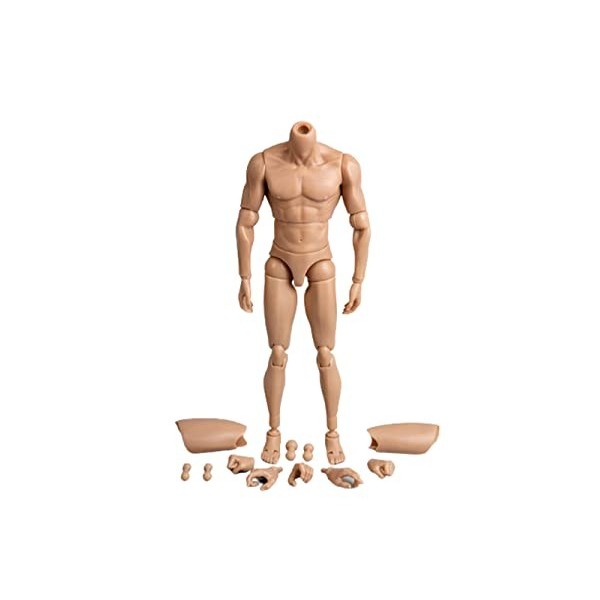 MDybf Accessoires masculins à léchelle 1/6, corps musculaire pour poupée Dessin, figurine daction de 30,5 cm, ensemble de f