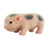 Poupée de cochon douce, poupée de bébé de cochon en silicone de 5 pouces, jouets mignons pour enfant de bébé de cochon, mini 