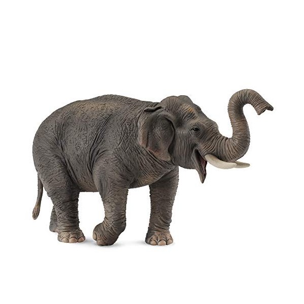 Collecta - 3388486 - Figurine - Animaux Sauvages - Eléphant dAsie