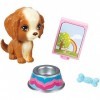 Barbie CFB56 Ensemble pour Animaux de Compagnie