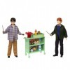 Harry Potter Coffret Poupées Harry Et Ron 30 Cm Avec Plus De 10 Accessoires À Bord Du Poudlard Express, À Collectionner, Joue