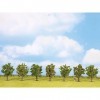 Noch - 25090 - Modélisme Ferroviaire - Arbres Fruitiers - Vert - 8 Cm - 7 Pièces