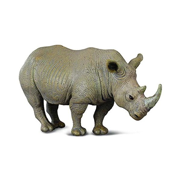 Collecta - 3388031 - Figurine - Animaux Sauvages - Rhinocéros - Blanc