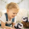 PERTID Animaux renaissants - Doux Mini Animaux Reborn en Silicone Réaliste,Mignon réaliste Panda Mini bébé Animaux poupée Cor