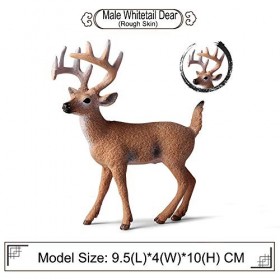 FLORMOON Figures danimaux 6pcs Réaliste Cerf de Virginie Modèle daction Plastique Animal Sauvage Apprentissage Fête des fav