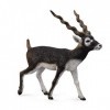 Collecta - 3388638 - Figurine - Animaux Sauvages - Antilope