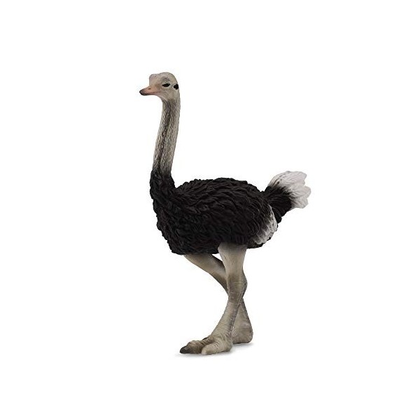 Collecta - 3388459 - Figurine - Animaux Sauvages - Autruche