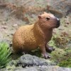 KATREU 2pcs Capybara Animal Figurine Jouet, réaliste Animal Sauvage modèle Jouet pour Les Enfants, Mini Capybara Figurine Jou