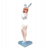 IMMANANT Figurine danime Ecchi Original - Lapin Blanc Natsume/Lapin Noir Aoi - 1/6 Objets de Collection animés Personnage de