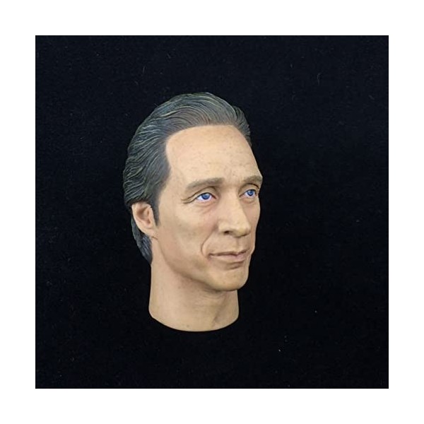 CNSMCWG Sculpture De Tête De Figurine Masculin À Léchelle 1/6, Tête De William Fichtner, Tête De Poupée pour Figurine De 12 