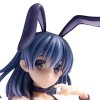 DHAEY Figurine danime Figurine Ecchi Hana Fukiishi Racing Girl Ver. 1/6 Amovible vêtements Action Figurines modèle Collectio