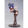 DHAEY Anime Figure Ecchi Figure Original -Fukiishi Hana- 1/6 Amovible Vêtements Action Figurines Modèle Collection Statue Jou