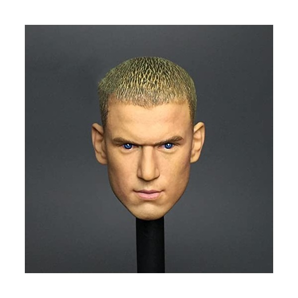 CNSMCWG Sculpture De Tête De Figurine Masculin À Léchelle 1/6, Sculpture Tête De Wentworth Miller, Tête De Poupée pour Figur