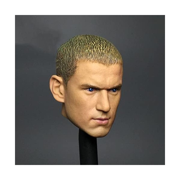 CNSMCWG Sculpture De Tête De Figurine Masculin À Léchelle 1/6, Sculpture Tête De Wentworth Miller, Tête De Poupée pour Figur