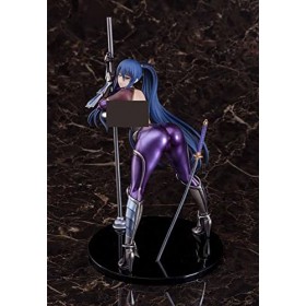 SOPTEC ECCHI Figure-Taimanin Series Rinko Akiyama & Yukikaze Mizuki -Action Anime Statue/Adulte Jolie Fille/Modèle de Collect