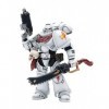 BLOOMAGE JOYTOY BEIJING TECH Warhammer 40k Figurine 1/18 White Scars Assault Intercessor Brother Batjargal 12 cm