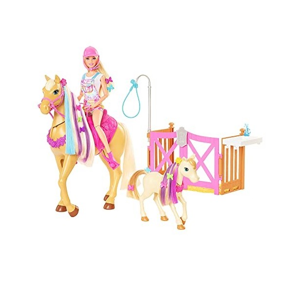 Barbie Famille coffret Toilettage des Chevaux avec poupée blonde, 2 figurines chevaux et plus de 20 accessoires, emballage fe