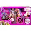 Coffret pour Barbie Centre equestre + 25 Accessoires + 2 Chevaux + 1 poupée - poupée Mannequin - Set métier toilettage + 1 Ca