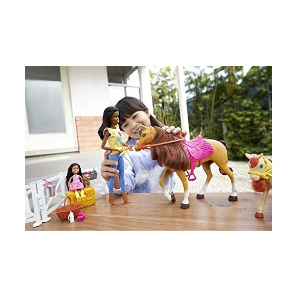 Barbie Famille coffret Amies des Animaux, poupée brune et mini-poupée Chelsea, cheval, poney, figurine de chiot et accessoire