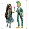 Monster High Collector Saint Valentin Lot de 2