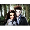 Barbie Collector - R4161 - Poupée - Edward Twilight