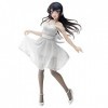 Figurine de poupée Sakurajima Mai 丨 Forme statique, matériau PVC, peinture de haute qualité 丨 Décoration de modèle Aberdeen 7