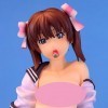 IMMANANT Shojo S - Figurine complète 1/7 Chiffre danime Figurine ECCHI Vêtements Amovibles Modèle de Personnage de Bande des