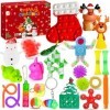 Lubibi Fidget Toys Calendrier De lAvent 2023, 24 surprises Noël, Fidget Toys Calendrier de Compte à Rebours, Anti-stress, Se