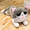 NOpinz Chaton Peluche Jouet Chat Peluche poupée Peluche Animal poupée Fromage Chat Peluche Jouet Oreiller Enfants Cadeau Cade