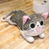NOpinz Chaton Peluche Jouet Chat Peluche poupée Peluche Animal poupée Fromage Chat Peluche Jouet Oreiller Enfants Cadeau Cade